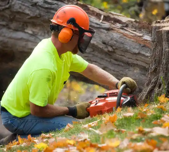 tree services Williamsdale